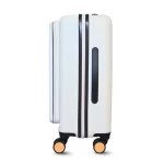 Himalayan Snow - Image 9